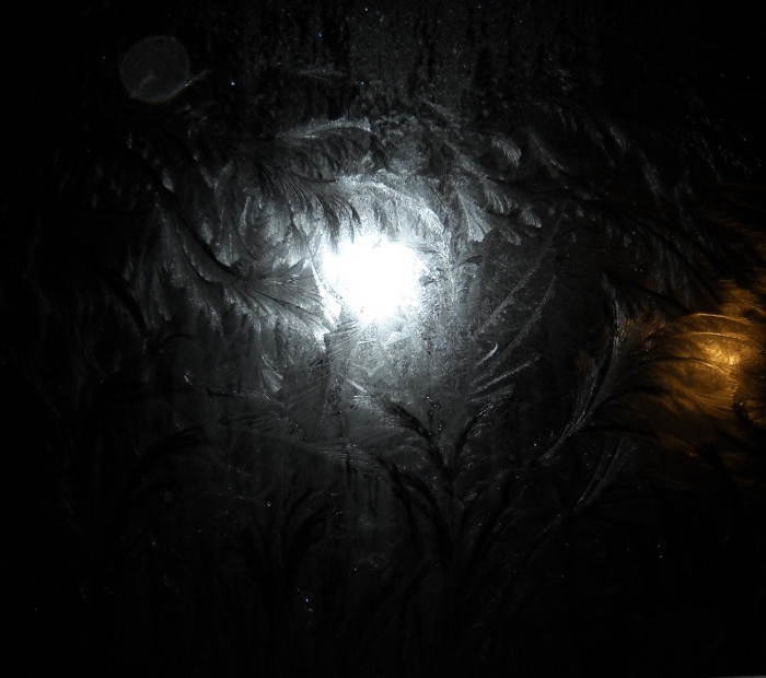 frost fern-feathers on a dark window surrounding a core of light