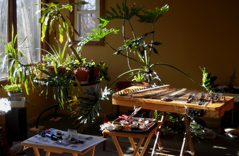 dulcimer with new pickups and tray tables with tools surrounded by green houseplants in a sunny room