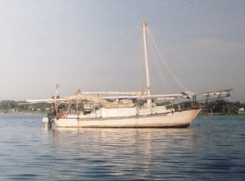 sailboat 2008