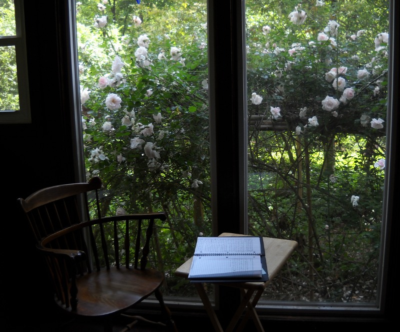 my chair and my open journal on a tray table before it, in front of picture windows full of blooming pink rambler roses outside them