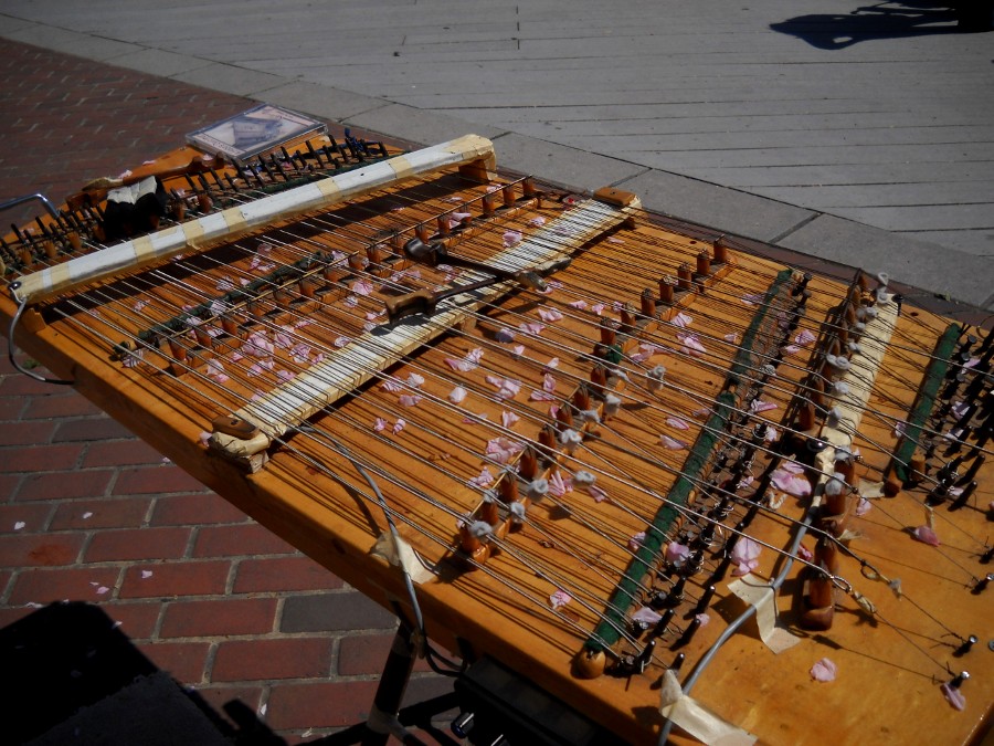 the dulcimer with cherry blossom petals scattered across it