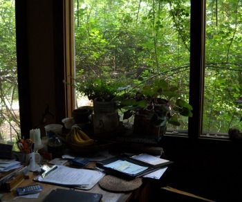 my desk with the roses growing outside the window