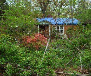 view of the front yard with flowers blooming, and the blue tarp on the roof standing out clearly
