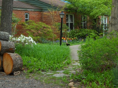 the view down the path and boardwalk leading from the driveway to the front door