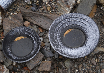 gold pans with gold and a dusting of snow