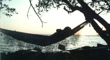 camping in a hammock in the mangroves, my sailing kayak on the beach behind me